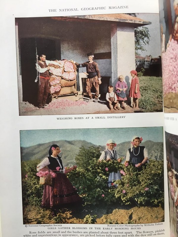 Розовата долина по света чрез страниците на известно списание