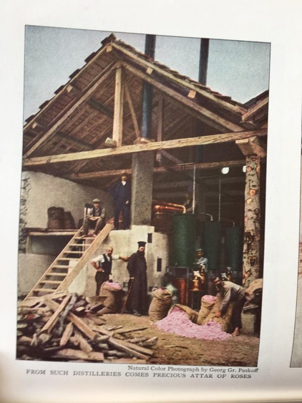 Розовата долина по света чрез страниците на известно списание