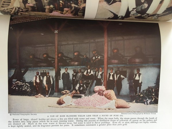 Розовата долина по света чрез страниците на известно списание