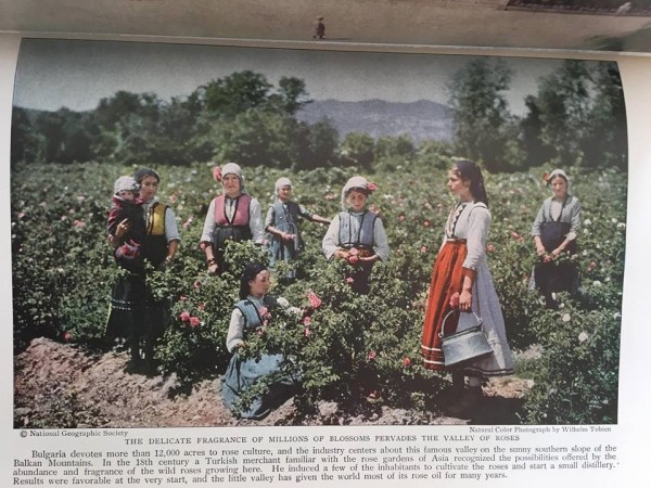 Розовата долина по света чрез страниците на известно списание