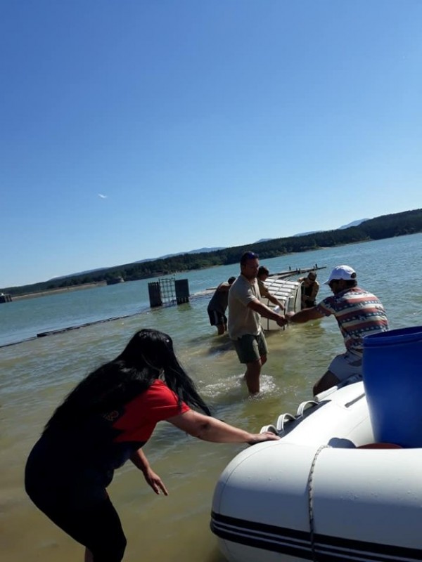 С над 100 000 шаранчета обогатиха язовир Копринка