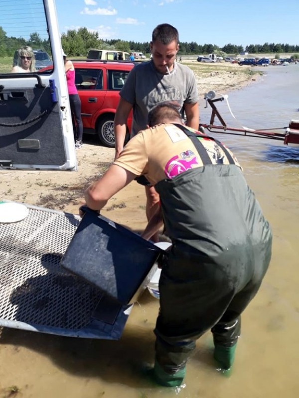 С над 100 000 шаранчета обогатиха язовир Копринка