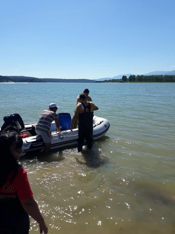 С над 100 000 шаранчета обогатиха язовир Копринка