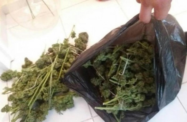 Над 220 гр. трева е намерена в къща в Бузовград / Новини от Казанлък