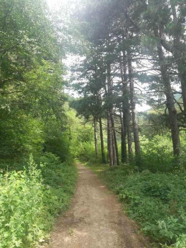 Шипка зарадва жителите и гостите си с нова панорамна пътека