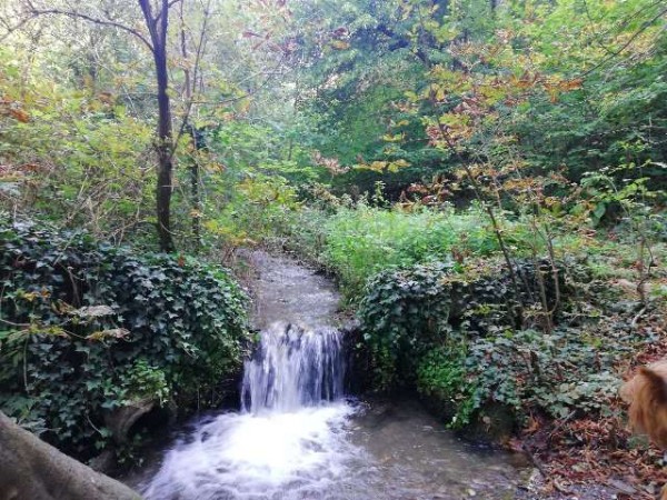 Нова пътека на здравето и подновена планинска маркировка в Шипка