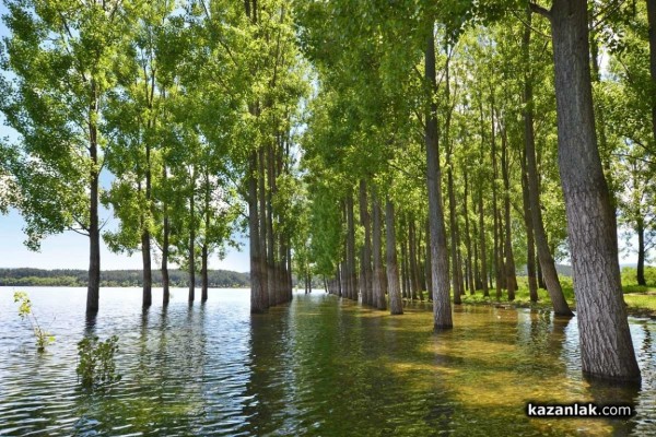 Построяването на язовир “Копринка“ оставя под водата древния Севтополис преди 63 години