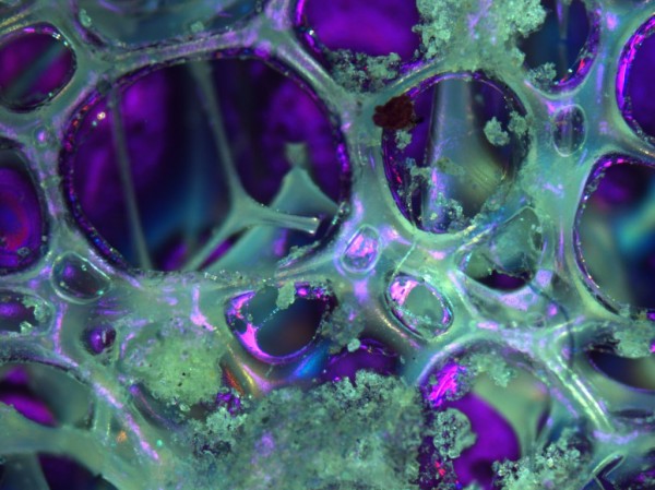 Музеят на фотографията с премиера на Дебора Валтер от Швейцария 