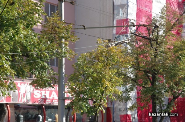 Паякът закачи провиснали жици на кръстовището до Лъвовата чешма