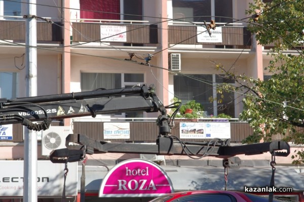 Паякът закачи провиснали жици на кръстовището до Лъвовата чешма