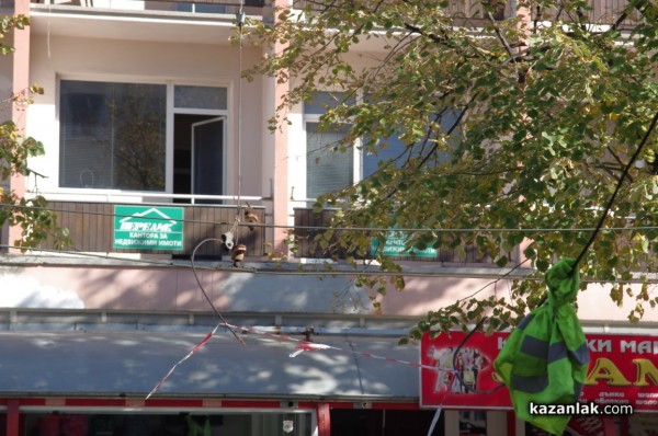 Паякът закачи провиснали жици на кръстовището до Лъвовата чешма