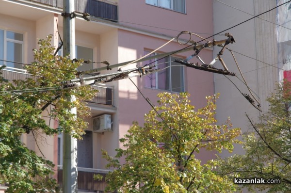 Паякът закачи провиснали жици на кръстовището до Лъвовата чешма