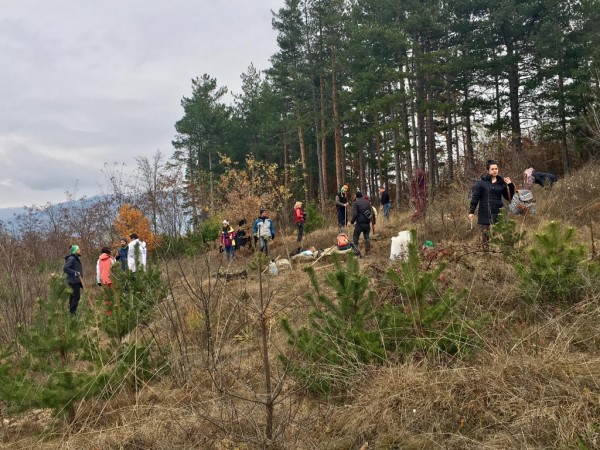 Десетки казанлъчани засадиха дръвчета край “Гледката“ на Тюлбето