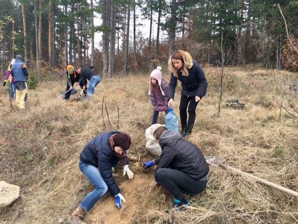 Десетки казанлъчани засадиха дръвчета край “Гледката“ на Тюлбето