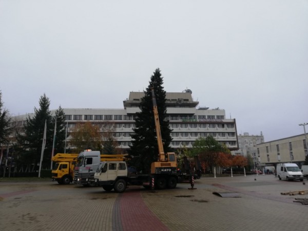 Казанлъчани посрещнаха Коледната елха