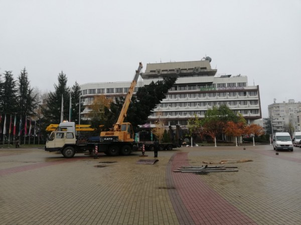 Казанлъчани посрещнаха Коледната елха