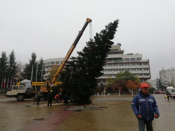 Казанлъчани посрещнаха Коледната елха