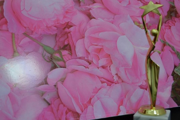 Казанлък отново бе отличен като туристическа дестинация