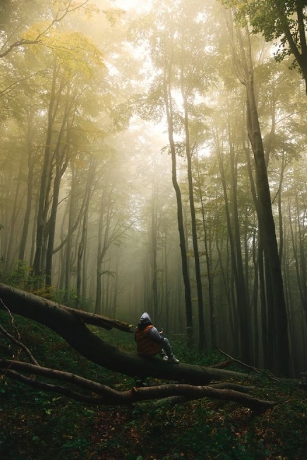 Община Казанлък отличи най-красивите есенни фотоси и коледни украси