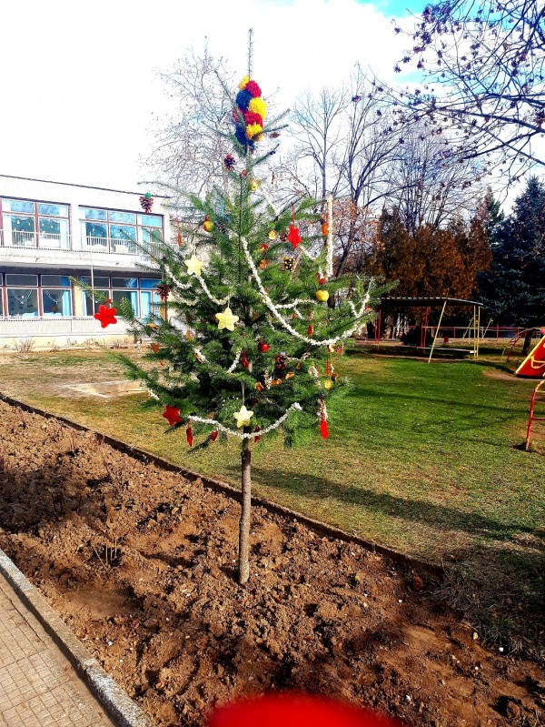 Община Казанлък отличи най-красивите есенни фотоси и коледни украси