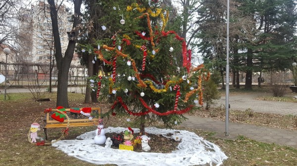 Община Казанлък отличи най-красивите есенни фотоси и коледни украси