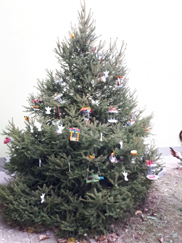 Община Казанлък отличи най-красивите есенни фотоси и коледни украси