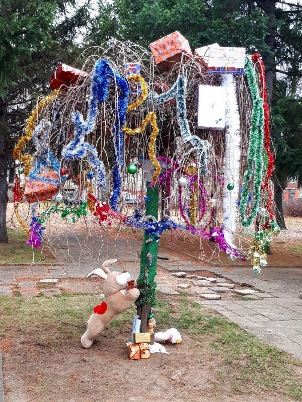 Община Казанлък отличи най-красивите есенни фотоси и коледни украси