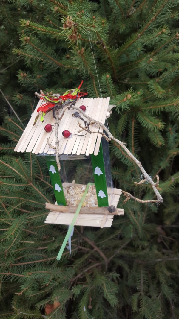 Община Казанлък отличи най-красивите есенни фотоси и коледни украси