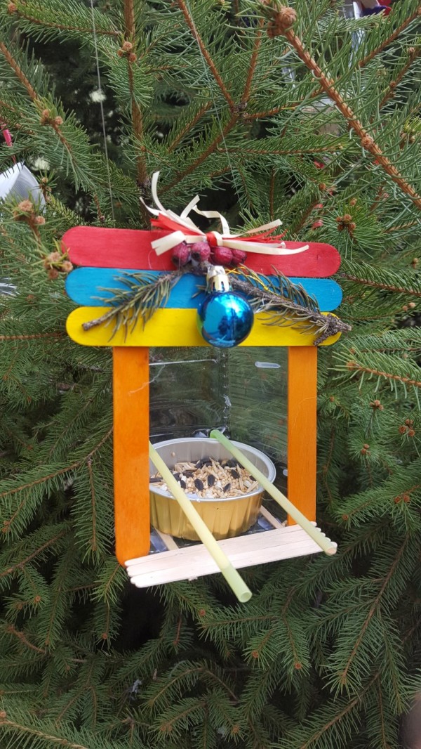 Община Казанлък отличи най-красивите есенни фотоси и коледни украси