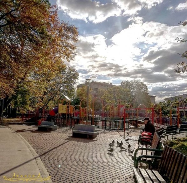 Община Казанлък отличи най-красивите есенни фотоси и коледни украси