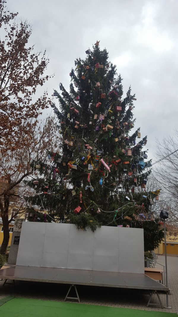 Община Казанлък отличи най-красивите есенни фотоси и коледни украси