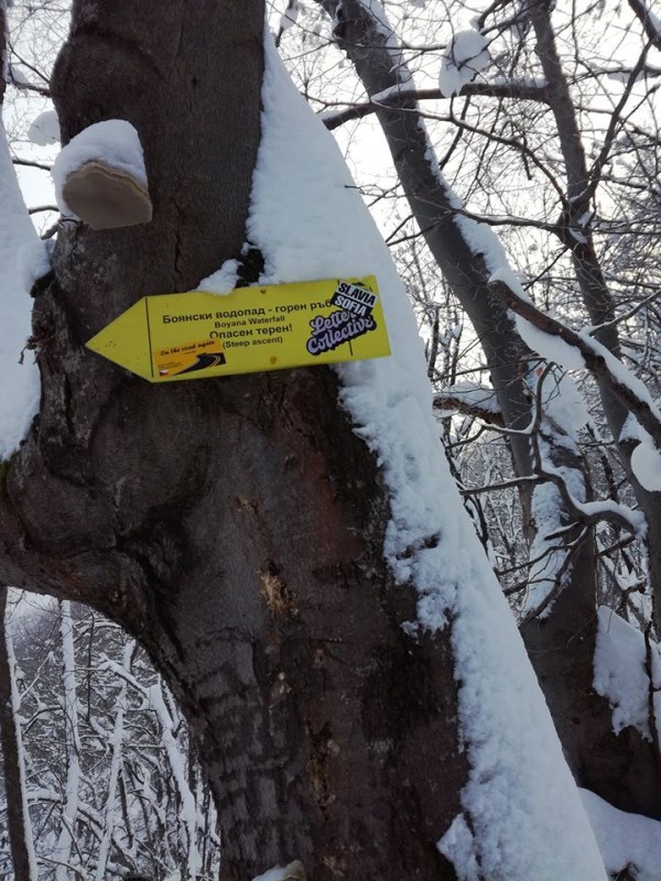 Алпинисти се катериха по замръзналия Боянски водопад