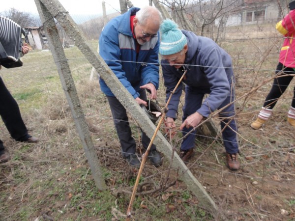 Туристическото дружество ще отпразнува Трифон Зарезан с поход