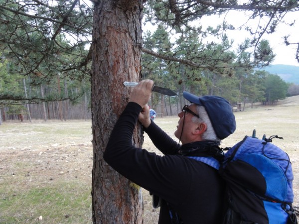 Туристическото дружество ще отпразнува Трифон Зарезан с поход