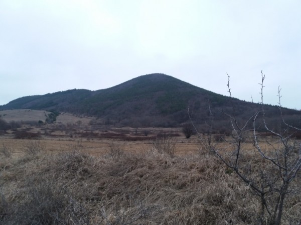 Традиционният Зарезански поход премина с дегустация и винарска надпревара