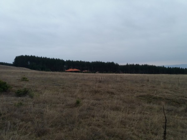 Традиционният Зарезански поход премина с дегустация и винарска надпревара