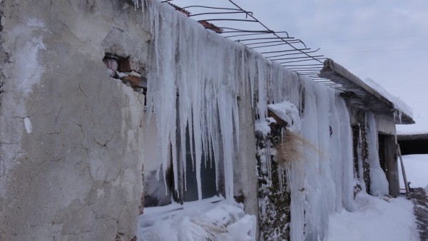 Казанлъшките ветерани отново на върха в ски ориентирането