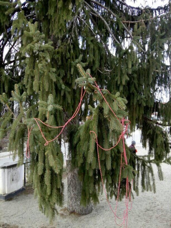 Мартенички от 150 метра прежда спретнаха енинските деца