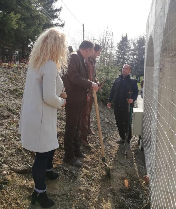 Град Шипка стана по-зелен в Седмицата на гората