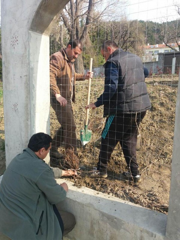 Град Шипка стана по-зелен в Седмицата на гората
