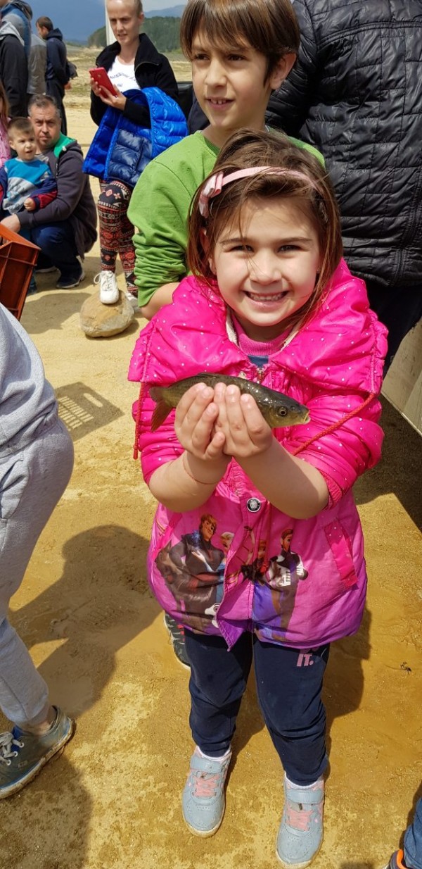 600 кг. шаран пуснаха във водите на язовир Копринка