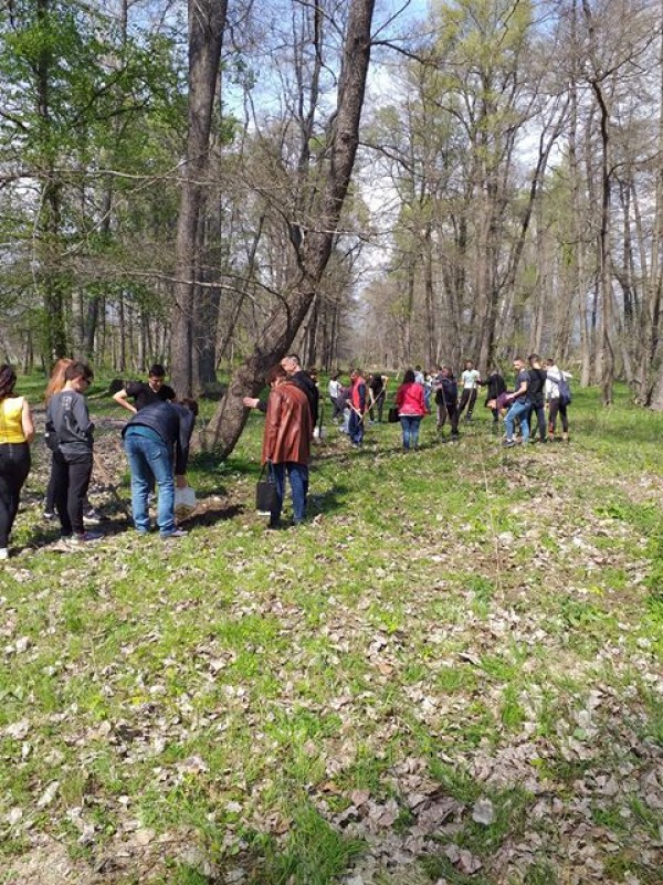 Ученици засадиха 30 дръвчета в Деня на Земята