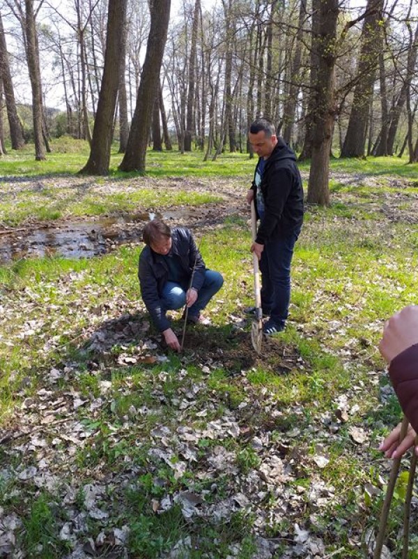 Ученици засадиха 30 дръвчета в Деня на Земята