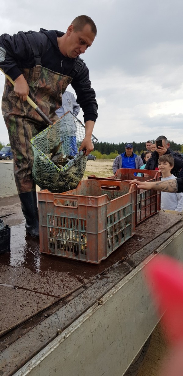 600 кг. шаран пуснаха във водите на язовир Копринка