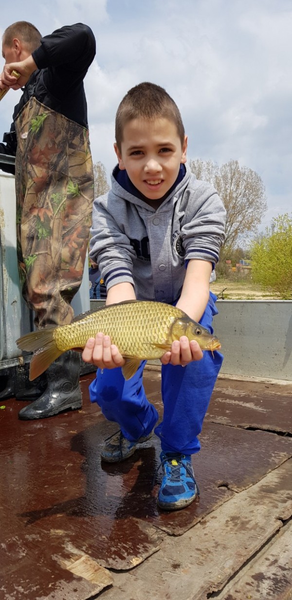 600 кг. шаран пуснаха във водите на язовир Копринка