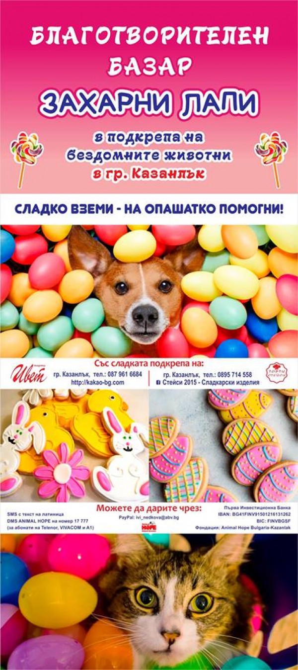 Сладък базар ще събира средства за бездомни животни в Казанлък