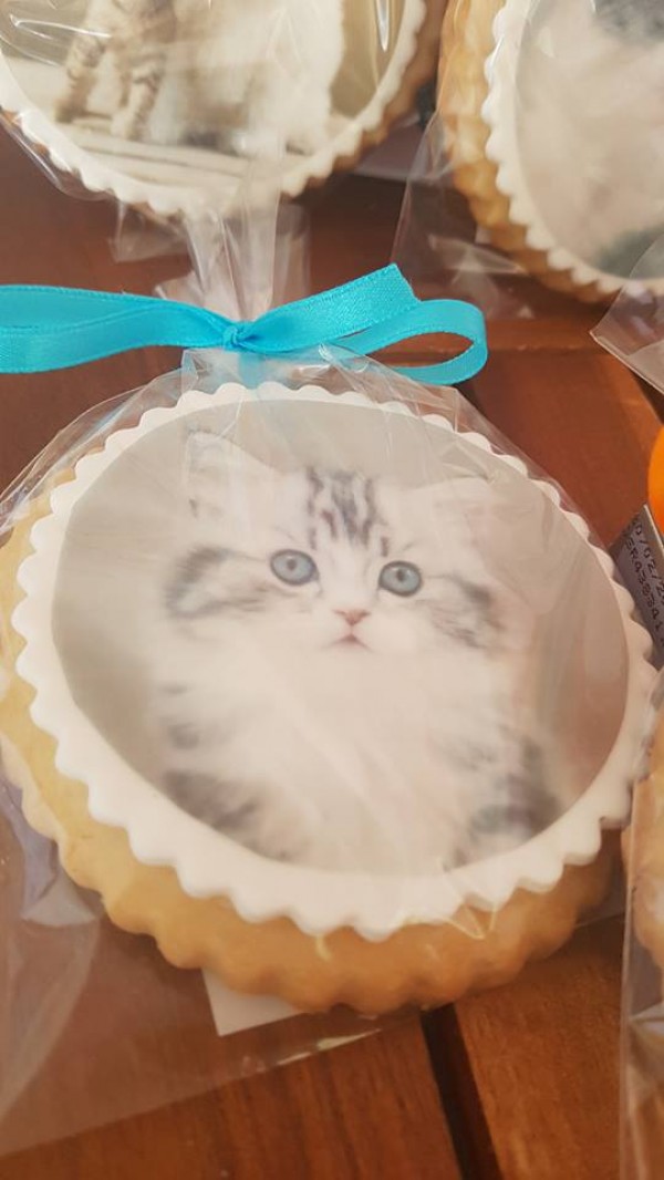 Сладък базар ще събира средства за бездомни животни в Казанлък