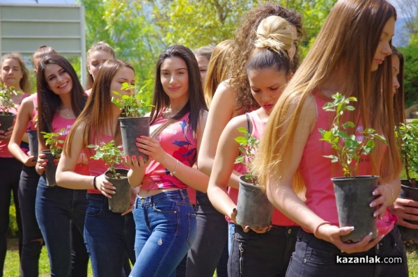 Кандидатките за Царица Роза 2019 засадиха рози в парк „Тюлбето“