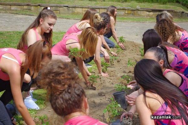 Кандидатките за Царица Роза 2019 засадиха рози в парк „Тюлбето“