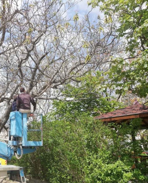 Продължава разкрасяването на град Шипка